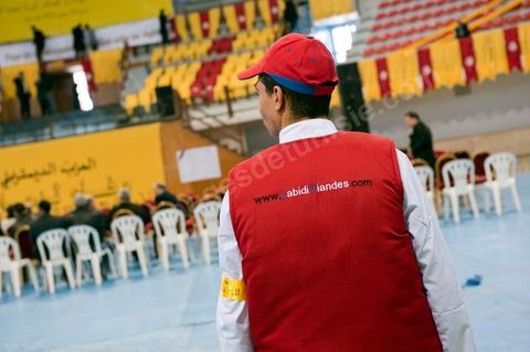 29 janvier : le premier grand meeting politique du PDP (Parti Démocrates progressistes) depuis le départ de Ben Ali à la grande salle des sports "la coupole" d'El Menzah en présence du rappeur El Général, de la maman de Bouaziz et du leader du parti pour les prochaines élections présidentielles Ahmed Nejib Chebbi, actuel ministre du développement régional et local dasn le gouvernement de transition.