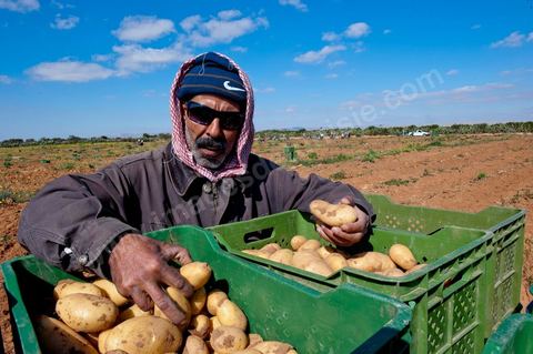 Mohamend Ayoun habite, vit et travaille à Regueb une ville à 30 km de Sidi Bouzid. Regueb a été à l'origine et au coeur des émeutes, mouvemenstd e protestations pour la démocratie et où la population a connu de très forts affrontements avec la police du régime de Ben Ali provocant 7 morts et une cinquantaine de blessés. Mohamed ancien combattant pendant 20 ans au Liban et en Palestine, il est revenu chez lui à Regueb où il a fondé sa famille et travaille comme ouvrier agricole saisonnier. Son expérience de revolutionnaire dasn le monde arabe ont fait de lui un maître et de cette révolution populaire tunsienne dasn sa ville, encadrant et soutenant cette jeunesse à la source de la révolte. Rencontré lors de la Caravane de la Libération à la place de la Kasbah de Tunis où pendant son sitin de 6 jours il a fait la grève de la faim pour obtenir le départ des ex Ben Ali dans le premier gouvernement de la transition. Quelques jours plus tard, je retrouve Mohamed à Regueb et passe 2 jours à la rencontre de sa vie et des gens de ces régions.