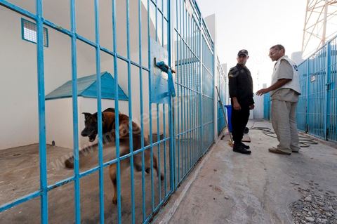 Unité canine de la police tunisienne pour les atrouilles de contrôle anti drogue et anti explosif au poste frontalier de Ras Jedir à la frontière avec la Libye.