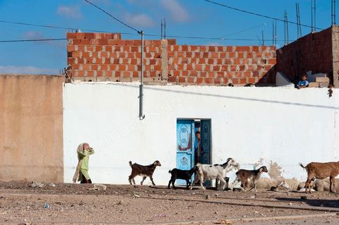 26 septembre 2011 : au coeur des quartiers populaires de la Cité Ezzouhour quartier de la révolution tunisienne à Kasserine