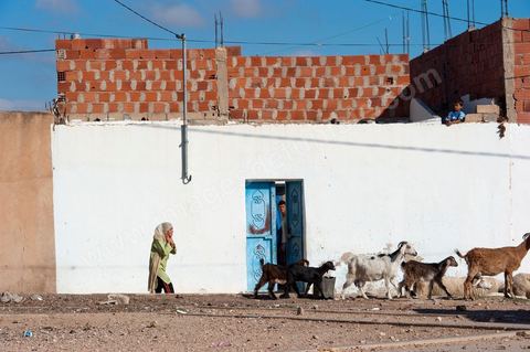 26 septembre 2011 : au coeur des quartiers populaires de la Cité Ezzouhour quartier de la révolution tunisienne à Kasserine