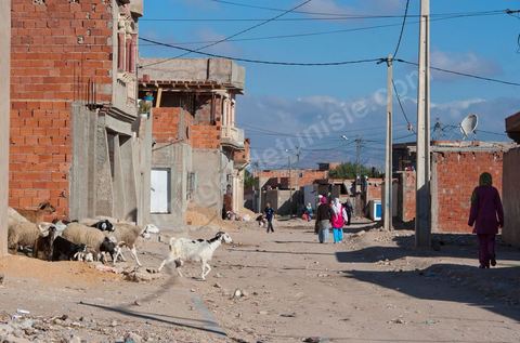26 septembre 2011 : au coeur des quartiers populaires de la Cité Ezzouhour quartier de la révolution tunisienne à Kasserine