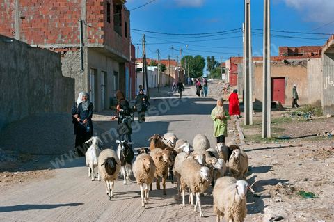 26 septembre 2011 : au coeur des quartiers populaires de la Cité Ezzouhour quartier de la révolution tunisienne à Kasserine