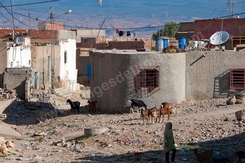 26 septembre 2011 : au coeur des quartiers populaires de la Cité Ezzouhour quartier de la révolution tunisienne à Kasserine