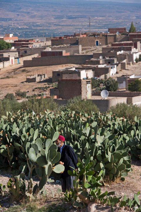 26 septembre 2011 : au coeur des quartiers populaires de la Cité Ezzouhour quartier de la révolution tunisienne à Kasserine
