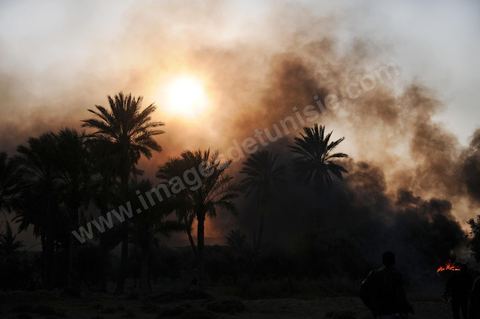 28 mars après midi quartier Lala à Gafsa, lenterrement du jeune de 20 ans tué la veille par tir de carabine de la tribu adverse pour des conflits de terrain. Après l'enterrement, les membres de sa tribu vont aller brûler les maisons de la tribus adversaires déclenchant de nouveaux affrontements entre les tribus et la mort d'un second jeune par tir de carabine. Au milieu les forces de l'ordre qui tentent de les séparer.