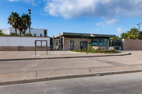 15 septembre 2012 : état des lieux à l'ambassade américaine de Tunis au lendemain de l'attaque des salafistes. Près de 70 véhicules brûlés et detruits ur la parking de l'amabassade, de nombreuses inscriptions sur l'enceinte de l'ambassade. Dans la nuit un très lourd dispostif militaire fait de chars, blindés et troupes fortement armés a été installé tout autour de l'immense enceinte de l'ambassade. La situation autour de l'ambassade est calme depuis hier fin de journée. 
