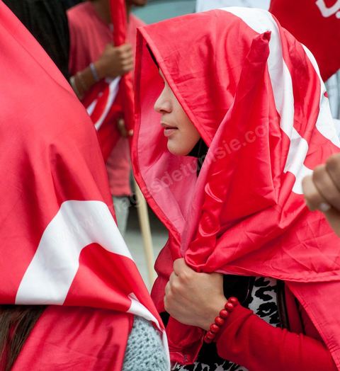 9 avril 2013 : Partisans de l'Union pour la Tunisie. à l'occasion de la journée des martyrs, l'avenue Bourguiba à Tunis a accueilli plusieurs marches politiques. Entre la première marche de la nouvelle alliance politique "Union pour la Tunisie", regroupant les partis progressistes Nidaa Tounes, Al Joumhouri, Al Massar, Parti Socialiste et Parti Patriotique, et celle des partisans de Ennahdha et des Ligues de Protection de la Révolution (LPR) la tension a été au maximum mais contrôlé par un dispositif sécuritaire impotant et efficace.