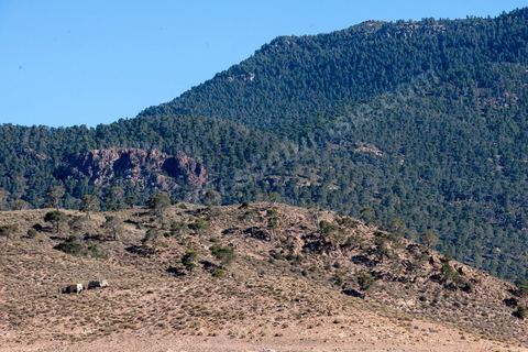 June 14: The military surrounded the 6,700-hectare area of Mount Chambi with armored vehicles, where Islamist terrorists had taken refuge. Mount Chambi in Kasserine