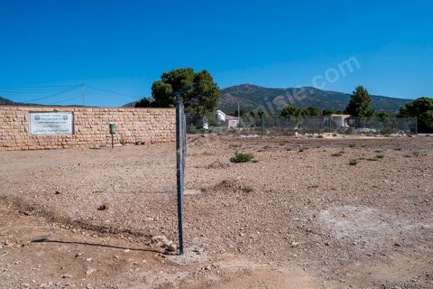 June 14: Entrance to Chambi Park; this nature reserve is now a restricted military zone. Mount Chambi in Kasserine