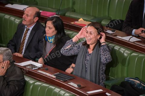 Statement by Karima Souid, member of parliament for France-Sud, on January 20, following the Constituent Assembly’s adoption of Article 73, which grants Tunisians with dual citizenship the right to run for president. This vote sparked a strong reaction from nationalist members of parliament.