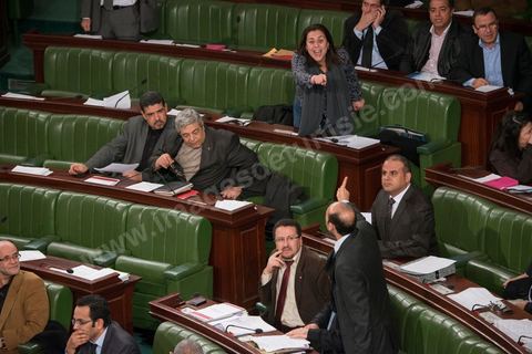 Ali Houiji (Wafa) prend à parti Karima Souid (groupe démocrate). Le 20 janvier, l'Assemblée constituante a adopté l'article 73 qui accorde le droit aux Tunisiens porteurs d'une deuxième nationalité à se présenter à l'élection présidentielle. Ce vote a provoqué une vive réaction des députés nationalistes.