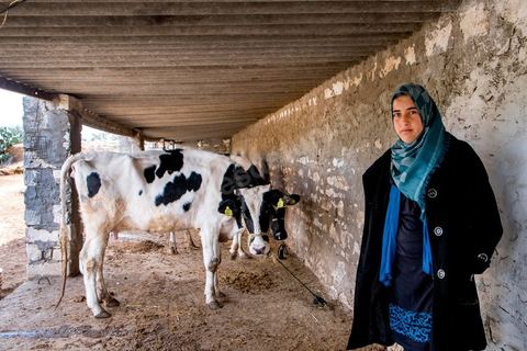 17 janvier 2014 : Nadia, 16 ans en échec scolaire a quitté l'année dernière le collège dans l'espoir d'aller travailler dans un atelier de confection, mais ses parents s'y sont opposés, aujourdhui elle passe ses journées à la maison. pour l'année 2012-2013 plus de 100 000 éléves ont quitté l'école selon le ministre de l'Education. 
