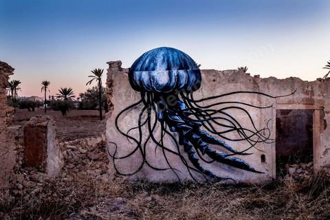 Oeuvre de l'artiste belge ROA pour le Projet DjerbaHood : après la Tour Paris 13, la team Itinerrance dépose ses valises dans un village traditionnel de l’île de Djerba, Erriadh. Depuis le début du mois de juillet, le village d’Erriadh se métamorphose petit à petit pour devenir un véritable musée à ciel ouvert. Une sélection d’artistes des quatre coins du monde ont été invités à s’exprimer dans ce décor unique à l’architecture authentique : murs blancs, portes bleues turquoises, dômes, veilles constructions et divers lieux abandonnés, autant de possibilités qui donneront naissance à des créations uniques aux couleurs locales.