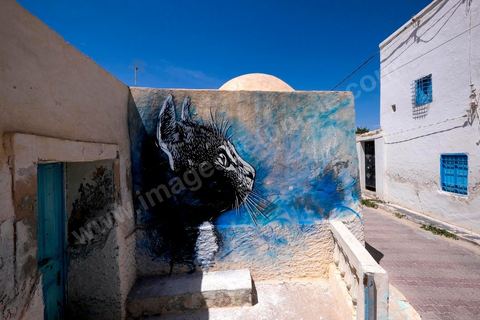 Oeuvre de l'artiste français C215 pour le Projet DjerbaHood : après la Tour Paris 13, la team Itinerrance dépose ses valises dans un village traditionnel de l’île de Djerba, Erriadh. Depuis le début du mois de juillet, le village d’Erriadh se métamorphose petit à petit pour devenir un véritable musée à ciel ouvert. Une sélection d’artistes des quatre coins du monde ont été invités à s’exprimer dans ce décor unique à l’architecture authentique : murs blancs, portes bleues turquoises, dômes, veilles constructions et divers lieux abandonnés, autant de possibilités qui donneront naissance à des créations uniques aux couleurs locales.