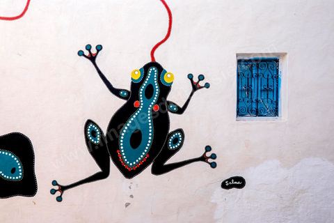 Oeuvres de l'artiste tunisienne SALMA pour le Projet DjerbaHood : après la Tour Paris 13, la team Itinerrance dépose ses valises dans un village traditionnel de l’île de Djerba, Erriadh. Depuis le début du mois de juillet, le village d’Erriadh se métamorphose petit à petit pour devenir un véritable musée à ciel ouvert. Une sélection d’artistes des quatre coins du monde ont été invités à s’exprimer dans ce décor unique à l’architecture authentique : murs blancs, portes bleues turquoises, dômes, veilles constructions et divers lieux abandonnés, autant de possibilités qui donneront naissance à des créations uniques aux couleurs locales.