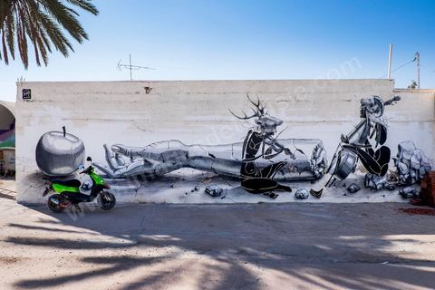 Oeuvres de l'artiste allemand DOME pour le Projet DjerbaHood : après la Tour Paris 13, la team Itinerrance dépose ses valises dans un village traditionnel de l’île de Djerba, Erriadh. Depuis le début du mois de juillet, le village d’Erriadh se métamorphose petit à petit pour devenir un véritable musée à ciel ouvert. Une sélection d’artistes des quatre coins du monde ont été invités à s’exprimer dans ce décor unique à l’architecture authentique : murs blancs, portes bleues turquoises, dômes, veilles constructions et divers lieux abandonnés, autant de possibilités qui donneront naissance à des créations uniques aux couleurs locales.