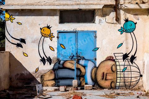 Oeuvres de l'artiste français SETH et les oiseaux de l'artiste argentin PUM PUM pour le Projet DjerbaHood : après la Tour Paris 13, la team Itinerrance dépose ses valises dans un village traditionnel de l’île de Djerba, Erriadh. Depuis le début du mois de juillet, le village d’Erriadh se métamorphose petit à petit pour devenir un véritable musée à ciel ouvert. Une sélection d’artistes des quatre coins du monde ont été invités à s’exprimer dans ce décor unique à l’architecture authentique : murs blancs, portes bleues turquoises, dômes, veilles constructions et divers lieux abandonnés, autant de possibilités qui donneront naissance à des créations uniques aux couleurs locales.