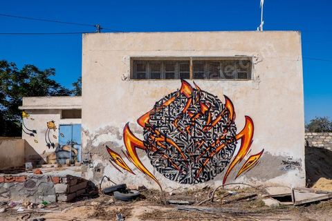 Oeuvres de l'artiste français KATRE pour le Projet DjerbaHood : après la Tour Paris 13, la team Itinerrance dépose ses valises dans un village traditionnel de l’île de Djerba, Erriadh. Depuis le début du mois de juillet, le village d’Erriadh se métamorphose petit à petit pour devenir un véritable musée à ciel ouvert. Une sélection d’artistes des quatre coins du monde ont été invités à s’exprimer dans ce décor unique à l’architecture authentique : murs blancs, portes bleues turquoises, dômes, veilles constructions et divers lieux abandonnés, autant de possibilités qui donneront naissance à des créations uniques aux couleurs locales.