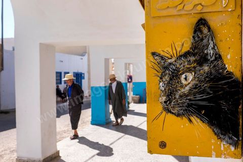 A work by French artist C215 for the DjerbaHood Project: after the Paris 13 Tower, the Itinerrance team has set up shop in Erriadh, a traditional village on the island of Djerba. Since early July, the village of Erriadh has been gradually transforming into a veritable open-air museum. A selection of artists from around the world has been invited to showcase their work in this unique setting with its authentic architecture: white walls, turquoise-blue doors, domes, old buildings, and various abandoned sites—all offering endless possibilities that will give rise to unique creations imbued with local character.