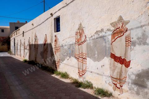 Works by Argentine artist HYURO for the DjerbaHood Project: after the Paris 13 Tower, the Itinerrance team is setting up shop in Erriadh, a traditional village on the island of Djerba. Since early July, the village of Erriadh has been gradually transforming into a veritable open-air museum. A selection of artists from around the world has been invited to create works in this unique setting with its authentic architecture: white walls, turquoise-blue doors, domes, old buildings, and various abandoned sites—all offering endless possibilities that will give rise to unique creations infused with local color.