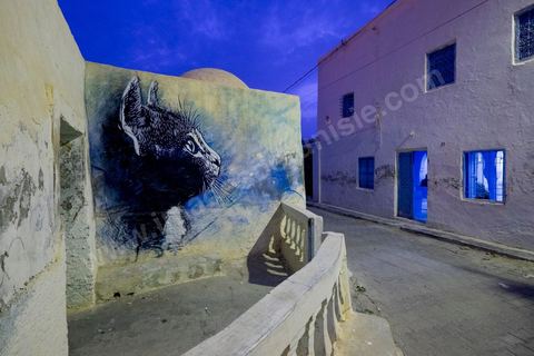 20 septembre 2014 : inauguration de DjerbaHood