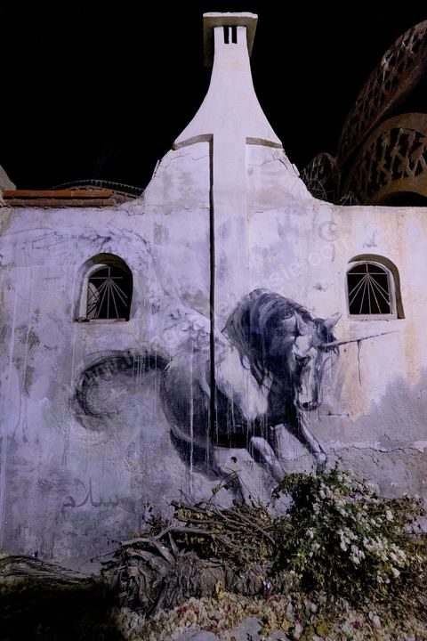 20 septembre 2014 : inauguration de DjerbaHood