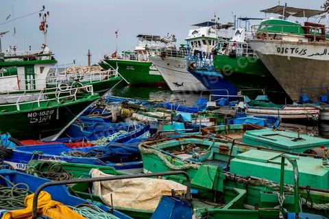 June 24, 2014: Today, the port of Teboulba is the departure point for nearly 7 boats carrying illegal immigrants. Mohamed, a fishing boat captain in Ksibet El Mediouni near Monastir, smuggled hundreds of young illegal immigrants between Tunisia and Sicily between 1996 and 2002. After being sentenced to six and a half years in prison, he has now returned to his job as a fishing boat captain. 