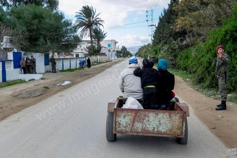 21 décembre 2014 : dans le village de Batrou, les électeurs doivent souvent faire plusieurs kilomètres pour venir voter dans l'unique bureau de vote. jour de vote pour le second tour des élections présidentielles opposant Beji Caid Essebsi, favori,  au président sortant Moncef Marzouki.