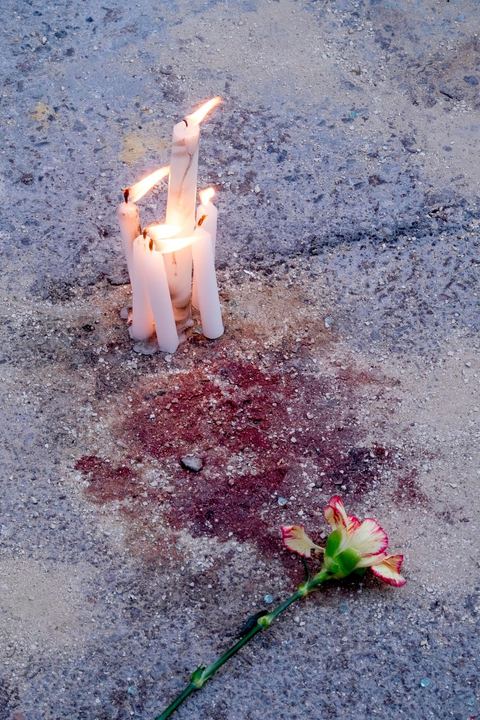 19 mars 2015 : dépot de fleurs en hommage aux victimes devant le hall du musée du Bardo. Rassemblement devant les grilles du musée du Bardo au lendemain de l'attaque terroriste qui a fait 19 victimes tunisiennes et étrangères.