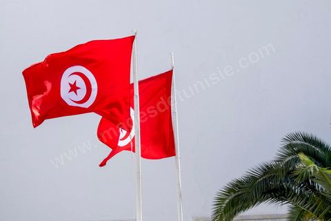 March 29, 2012: Tunisian President Béji Caïd Essebsi and several high-ranking foreign officials joined the "anti-terrorism" march organized in Tunis on Sunday at noon in response to the attack on the Bardo Museum. Tens of thousands of Tunisians are participating. “A big salute to the Tunisian people, who have proven that they will not give in to terrorism. Thank you to everyone, and I say to the Tunisian people: Keep moving forward! You are not alone,” Essebsi declared.François Hollande and Italian Prime Minister Matteo Renzi, as well as Gabonese President Ali Bongo and his Palestinian counterpart Mahmoud Abbas, took part in this procession of officials near the museum. This official procession passed along the perimeter where the Parliament and the Bardo Museum are located—the site of the March 18 attack in which 22 people were killed. The dignitaries then unveiled a memorial bearing the names of the victims. 