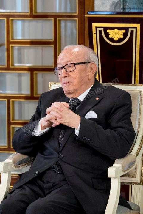 18 avril 2015 : Au palais présidentiel de Carthage, le président tunisien Béji Caïd Essebsi reçoit la délégation. Dans le cadre de la promotion de la Tunisie, la ministre française de la Culture Fleur Pelerin s'est rendue en Tunisie dans un voyage organisé par le ministère du tourisme avec une délégation de personnalités françaises et tunisiennes qui participent à la campagne de communication "La Tunisie, moi j'y vais".