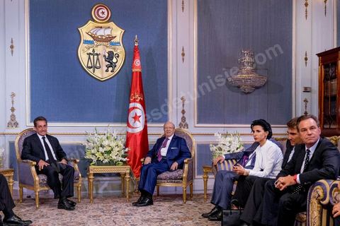 20 juillet 2015 : Rencontre au Palais présidentiel de Carthage entre Beji Caïd Essebsi, présidentd e la république tunisienne et Nicolas Sarkozy accompagné d'une délégation du parti Les Républicains. Visite de Nicolas Sarkozy en Tunisie à titre de Président du Pparti Les Républicains.