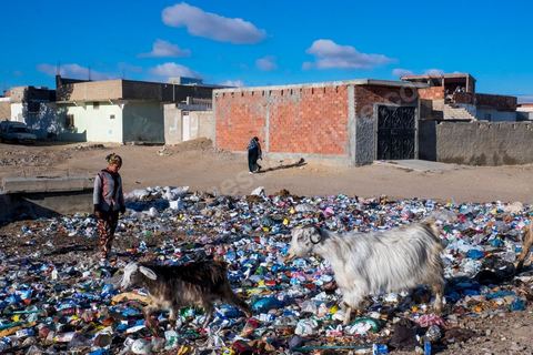 January 22, 2016: Between the famous working-class and revolutionary neighborhoods of Ezzouhour and Ennour on the hills above Kasserine, the neighborhoods continue to grow in a haphazard manner. The Karma neighborhood is one of the most deprived; its residents live amid piles of trash, and some are still waiting to be connected to the water supply. In the distance, Mount Chambi dominates the horizon, serving as a reminder of the presence and danger of terrorism.