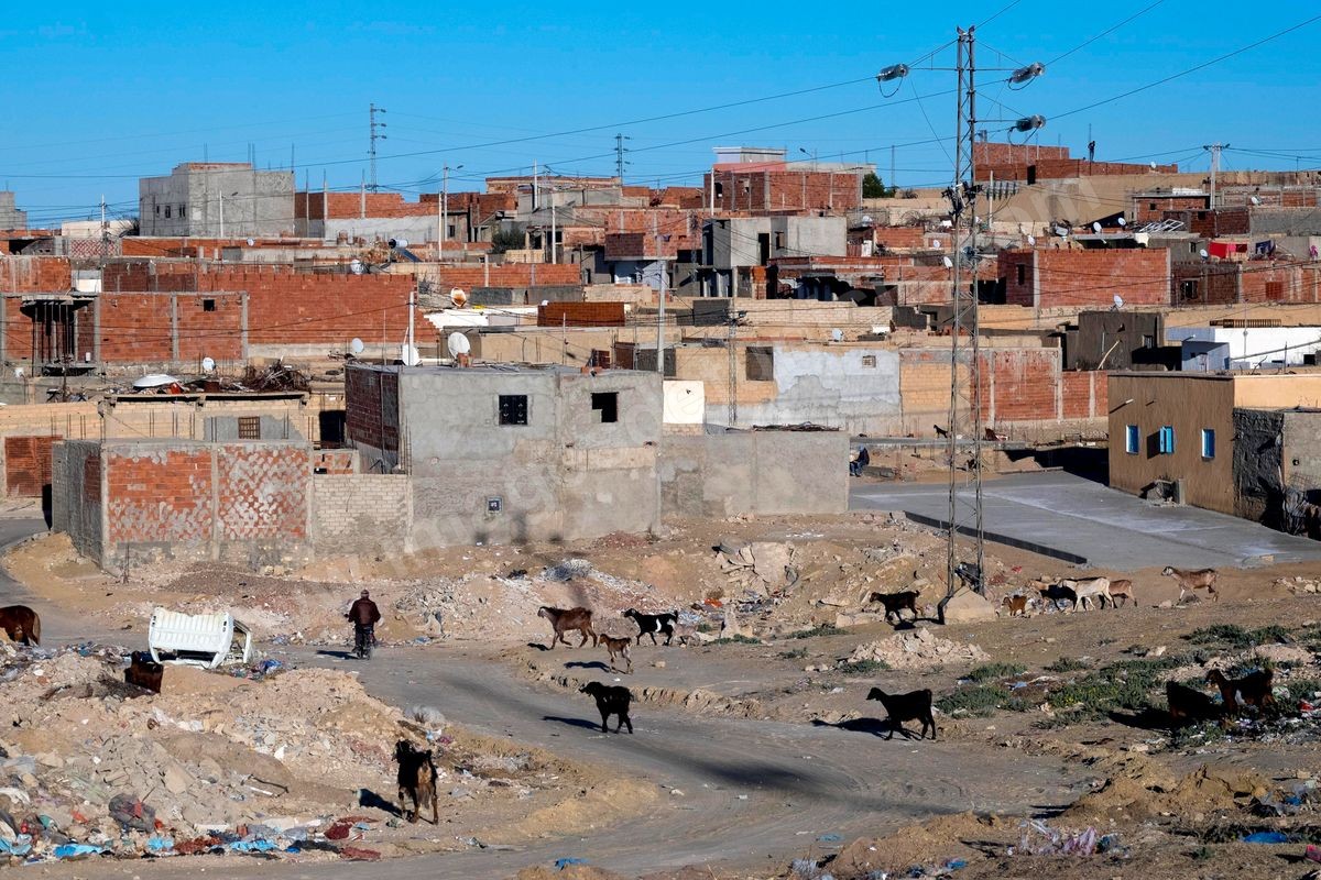 M33-430 Kasserine état des lieux 5 ans après 28012016