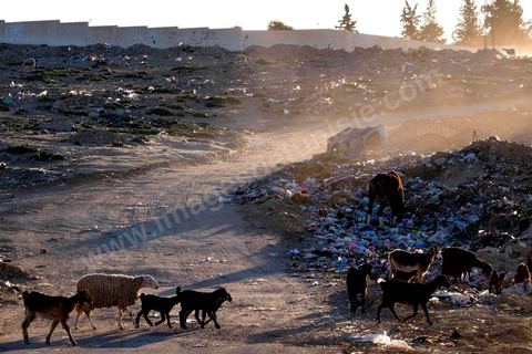 27 janvier 2016 : Quartier populaire et deshérité de Karma sur les hauteurs de Kasserine. Ici la population vit au milieu des poubelles, construisent leurs maison de façon anarchiques jusque dans les oueds. Les familles vivent entassés dans des maisons certes en dure mais dans la plus grande précarité, pas de fenêtres, pas de portes, pas de chauffage et d'eau pour certains. Le seul terrain de jeu des enfants est les poubelles. 