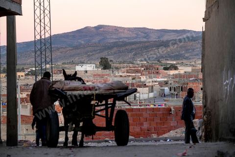 27 janvier 2016 : Quartier populaire et deshérité de Karma sur les hauteurs de Kasserine. Ici la population vit au milieu des poubelles, construisent leurs maison de façon anarchiques jusque dans les oueds. Les familles vivent entassés dans des maisons certes en dure mais dans la plus grande précarité, pas de fenêtres, pas de portes, pas de chauffage et d'eau pour certains. Le seul terrain de jeu des enfants est les poubelles. 