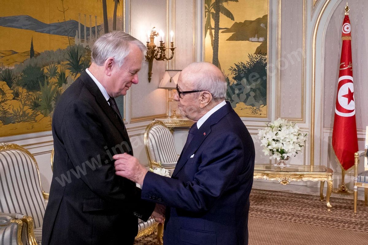 M33-700 Visite Ayrault à Tunis 18032016
