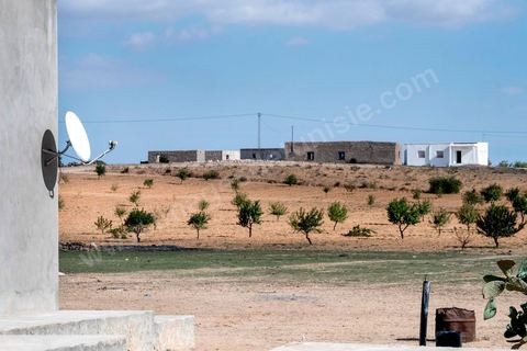 16 octobre 2017 : à Ltaifa, à 15 km de Bir Ali, Nasr Nasr, 30 ans, nous reçoit chez ses parents pour nous relater les circonstances du drame vécu en mer, il est le dernier rescapé après avoir passé 1h30 dans la mer, sauvé par son gilet de sauvetage, l'un des rares à en avoir un. Dans la nuit du 8 au 9 octobre 2017 un bateau de pêcheur avec plus de 90 migrants clandestins tunisiens à bord a été percuté "accidentellement" (selon source officielle) provocant la mort et disparition d'une cinquantaine de jeunes tunisiens les autres ayant été rescapé apr ce meme navire tunisien. 