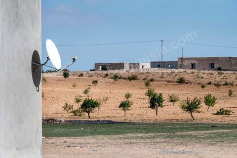 16 octobre 2017 : à Ltaifa, à 15 km de Bir Ali, Nasr Nasr, 30 ans, nous reçoit chez ses parents pour nous relater les circonstances du drame vécu en mer, il est le dernier rescapé après avoir passé 1h30 dans la mer, sauvé par son gilet de sauvetage, l'un des rares à en avoir un. Dans la nuit du 8 au 9 octobre 2017 un bateau de pêcheur avec plus de 90 migrants clandestins tunisiens à bord a été percuté "accidentellement" (selon source officielle) provocant la mort et disparition d'une cinquantaine de jeunes tunisiens les autres ayant été rescapé apr ce meme navire tunisien. 