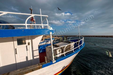 30 novembre 2017 : dans le port de pêche de Sfax