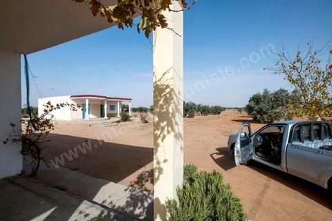 30 novembre : à Sidi Dahar, hameau agricole à 15 km a unord de Bir Ali. Chez Mouldi Chedly, père de Abdelkarim, 31 ans, mort sur le bateau échoué par le navire de la marine nationale tunisienne la nuiut du 8 octobre. Abdelkarim après être parti plussieurs années travailler en Libye était revenu chez ses parents où il avait démarré un nouveau projet de transporteur avec son pick up et avait commencé à construire sa maison. Mais l'attrait d'un monde meilleur en Euroep l'a mis sur ce bateau à la fin tragique. 