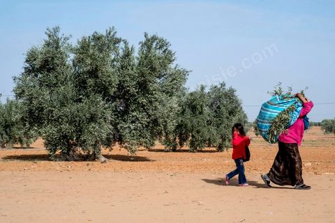 30 novembre : à Sidi Dahar, hameau agricole à 15 km a unord de Bir Ali. Chez Mouldi Chedly, père de Abdelkarim, 31 ans, mort sur le bateau échoué par le navire de la marine nationale tunisienne la nuiut du 8 octobre. Abdelkarim après être parti plussieurs années travailler en Libye était revenu chez ses parents où il avait démarré un nouveau projet de transporteur avec son pick up et avait commencé à construire sa maison. Mais l'attrait d'un monde meilleur en Euroep l'a mis sur ce bateau à la fin tragique. 
