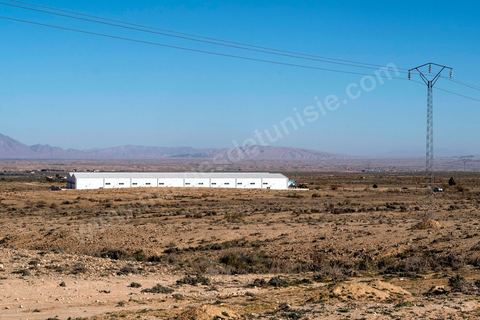 17 janvier 2018 : Entre les deux villes minières de Redeyef et Moularès, l'état tente de développer une zone industrielle, deux batiments vides occupent aujourd'hui cette ZI. 