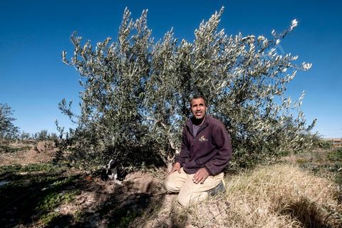 17 janvier 2018 : à Moulares, MOHCEN ESSAOUI, 50 ans, père de quatre enfants, a vécu 25 ans en Italie avant de pouvoir revenir au pays pour exploiter son terrain agricole.