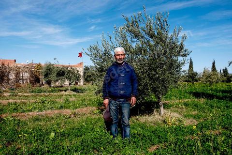 19 janvier 2018 : Oasis de Gafsa El Ksar. MOHAMED HASSAN, 49 ans, célibataire, propriétaire et exploitant agricole. Il dénonce la pollution de l'usine chimique de Mdhilla : "depuis quelques années les poires, les grenades, les raisins ne poussent plus. Il n'y a que les oliviers qui résistent encore".