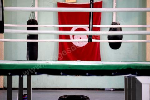 Entrainement des équipes nationales de Boxe féminine, Junior et cadettes. A la Cité Nationale Sportive de Tunis, l'équipe Nationale de Boxe féminine, Junior et Seniro, s'entraine quotidiennement. La boxe depuis les titres mondiaux et africains de Rim Jouini a pris depuis quelques années de l'ampleur en Tunisie et compte aujourd'hui plus de 500 licenciées sur l'ensemble du territoire et une équipe nationale qui engrange dans les différentes catégories des titres internationaux. 