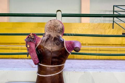 Entrainement des équipes nationales de Boxe féminine, Junior et cadettes. A la Cité Nationale Sportive de Tunis, l'équipe Nationale de Boxe féminine, Junior et Seniro, s'entraine quotidiennement. La boxe depuis les titres mondiaux et africains de Rim Jouini a pris depuis quelques années de l'ampleur en Tunisie et compte aujourd'hui plus de 500 licenciées sur l'ensemble du territoire et une équipe nationale qui engrange dans les différentes catégories des titres internationaux. 