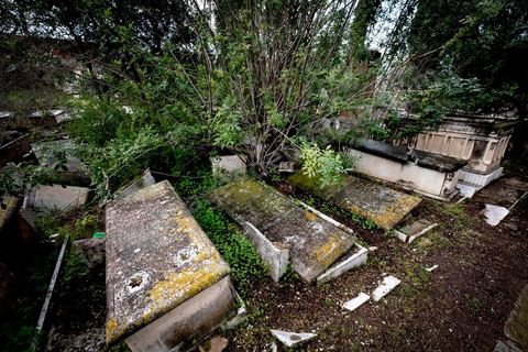 27 novembre 2018 : Les pélérins se rendent au cimetière juif du Borgel au centre de Tunis pour une "hiloula". Cachuètes, Boukha (eau de vie de figue) et prières pour commémorer la mort, il y a 180 ans, de Rebbi Hai Taieb qui était un grand érudit, exégète de la Torah et de la Kabbale. Dans le cadre du pélerinage. Près de 300 pélerins juifs venus principalement de France pour assister au traditionnel pèlerinage sur la tombe de Rebbi Hai Taieb Lo Met. A l’occasion de ce pèlerinage, de nombreux Tunisiens de confession juive se rendent sur la tombe du rabbin ainsi que dans d’autres sanctuaires et lieux de culte juifs comme la Grande Synagogue de Tunis ou celle de la Goulette.