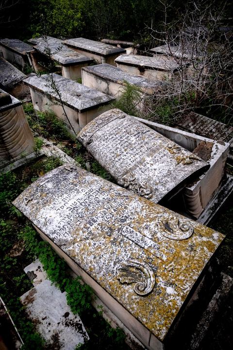 27 novembre 2018 : Les pélérins se rendent au cimetière juif du Borgel au centre de Tunis pour une "hiloula". Cachuètes, Boukha (eau de vie de figue) et prières pour commémorer la mort, il y a 180 ans, de Rebbi Hai Taieb qui était un grand érudit, exégète de la Torah et de la Kabbale. Dans le cadre du pélerinage. Près de 300 pélerins juifs venus principalement de France pour assister au traditionnel pèlerinage sur la tombe de Rebbi Hai Taieb Lo Met. A l’occasion de ce pèlerinage, de nombreux Tunisiens de confession juive se rendent sur la tombe du rabbin ainsi que dans d’autres sanctuaires et lieux de culte juifs comme la Grande Synagogue de Tunis ou celle de la Goulette.